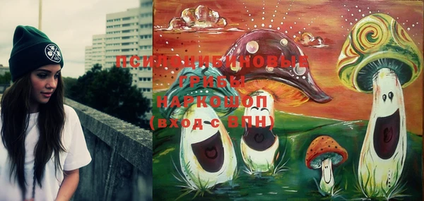 PSILOCYBIN Алексеевка