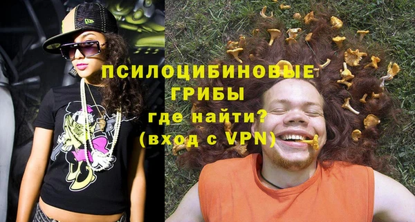PSILOCYBIN Алексеевка