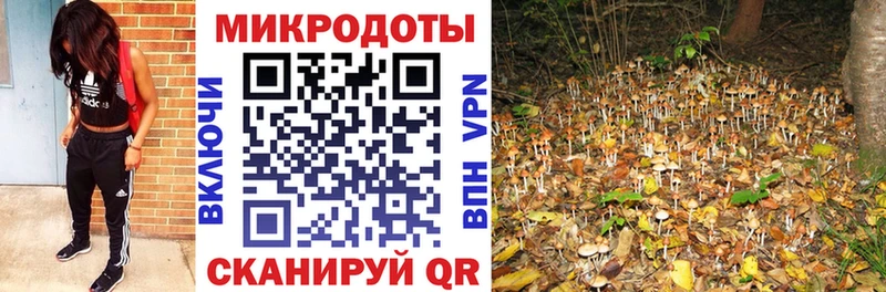 hydra маркетплейс купить наркоту Ельня Галлюциногенные грибы Psilocybe