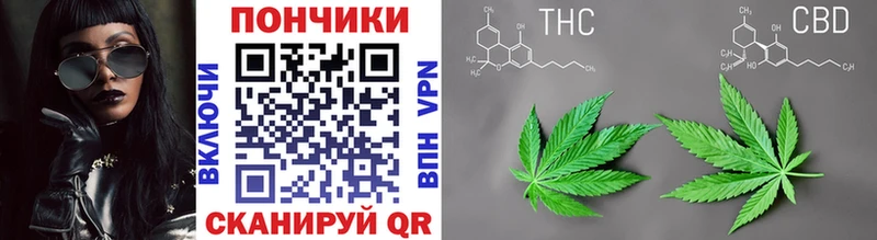 сколько стоит  Ельня  MEGA tor  Конопля семена 